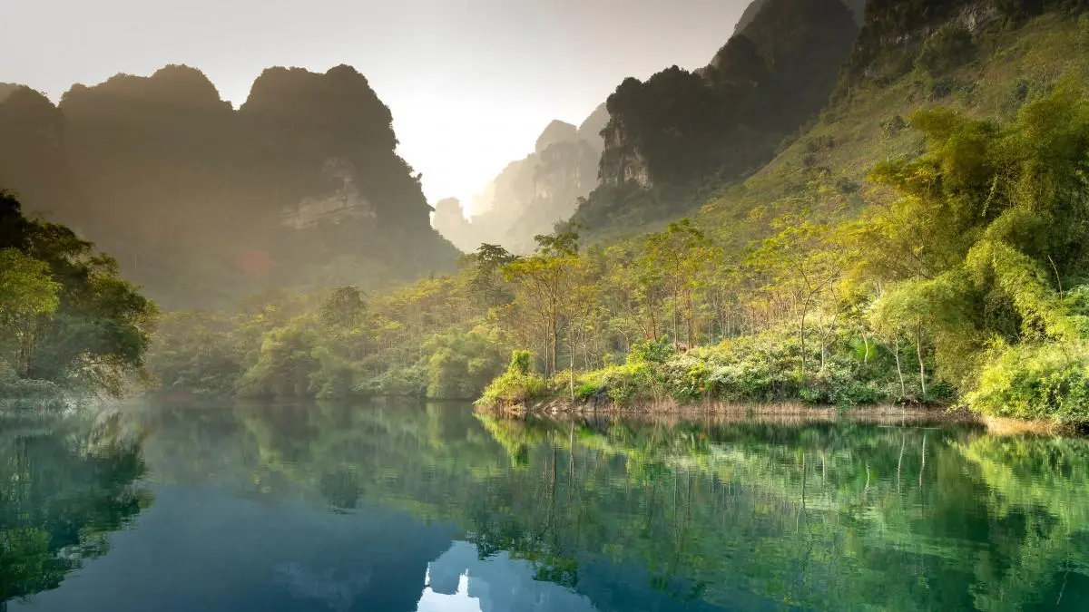 高精度科技绿色
